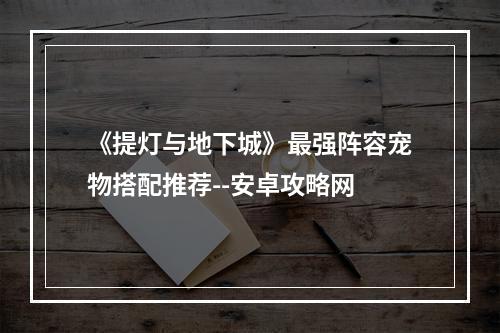 《提灯与地下城》最强阵容宠物搭配推荐--安卓攻略网