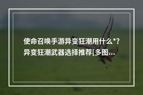 使命召唤手游异变狂潮用什么*？异变狂潮武器选择推荐[多图]--游戏攻略网