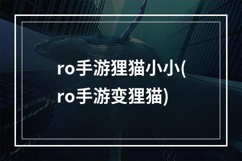 ro手游狸猫小小(ro手游变狸猫)