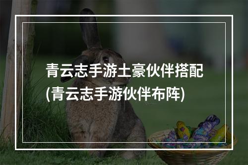 青云志手游土豪伙伴搭配(青云志手游伙伴布阵)