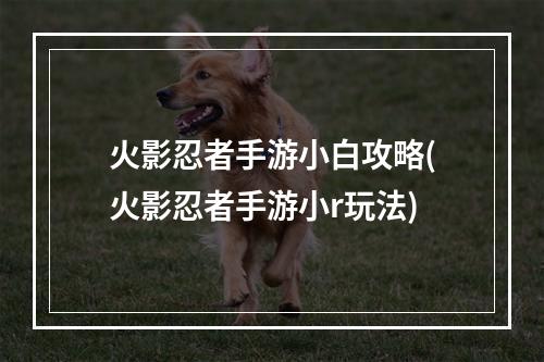 火影忍者手游小白攻略(火影忍者手游小r玩法)