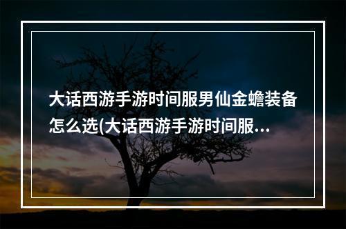 大话西游手游时间服男仙金蟾装备怎么选(大话西游手游时间服男仙)