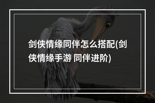 剑侠情缘同伴怎么搭配(剑侠情缘手游 同伴进阶)