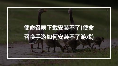 使命召唤下载安装不了(使命召唤手游如何安装不了游戏)