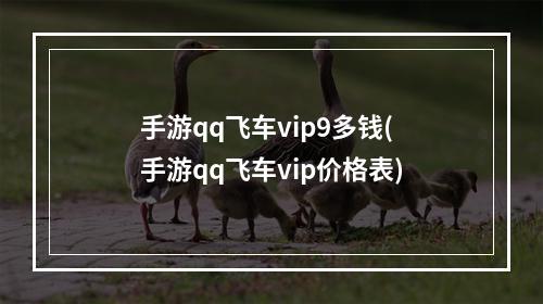 手游qq飞车vip9多钱(手游qq飞车vip价格表)