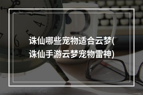 诛仙哪些宠物适合云梦(诛仙手游云梦宠物雷神)