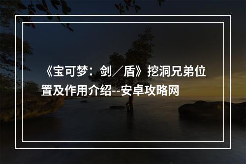 《宝可梦：剑／盾》挖洞兄弟位置及作用介绍--安卓攻略网