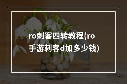 ro刺客四转教程(ro手游刺客d加多少钱)