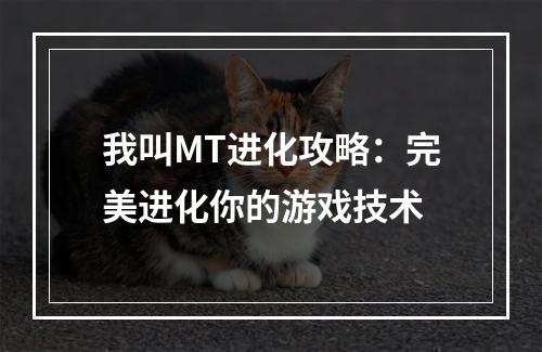 我叫MT进化攻略：完美进化你的游戏技术