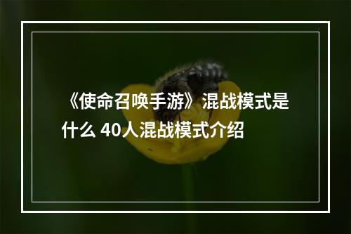 《使命召唤手游》混战模式是什么 40人混战模式介绍