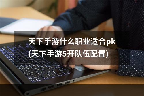 天下手游什么职业适合pk(天下手游5开队伍配置)