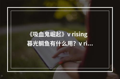 《吸血鬼崛起》v rising暮光鲷鱼有什么用？v rising暮光鲷鱼位置及作用