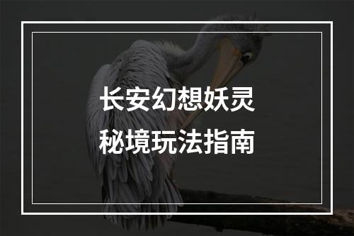 长安幻想妖灵秘境玩法指南