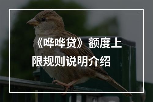 《哗哗贷》额度上限规则说明介绍