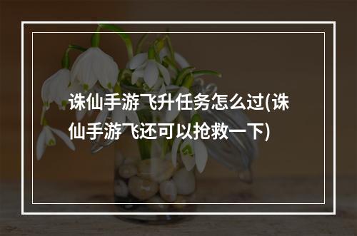 诛仙手游飞升任务怎么过(诛仙手游飞还可以抢救一下)