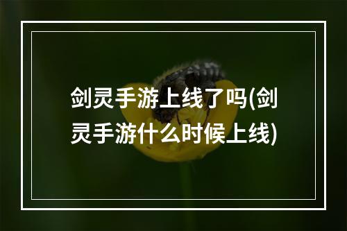 剑灵手游上线了吗(剑灵手游什么时候上线)