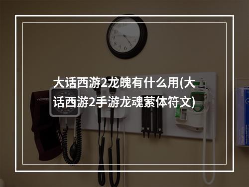 大话西游2龙魄有什么用(大话西游2手游龙魂萦体符文)