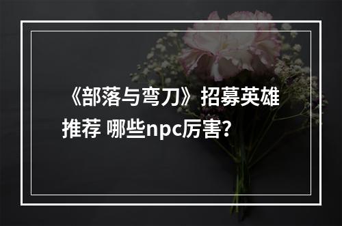 《部落与弯刀》招募英雄推荐 哪些npc厉害？