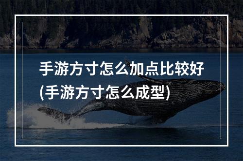 手游方寸怎么加点比较好(手游方寸怎么成型)