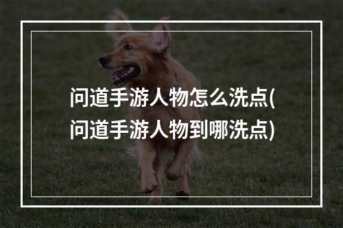 问道手游人物怎么洗点(问道手游人物到哪洗点)