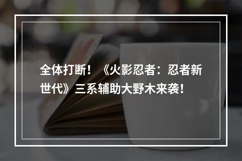 全体打断！《火影忍者：忍者新世代》三系辅助大野木来袭！