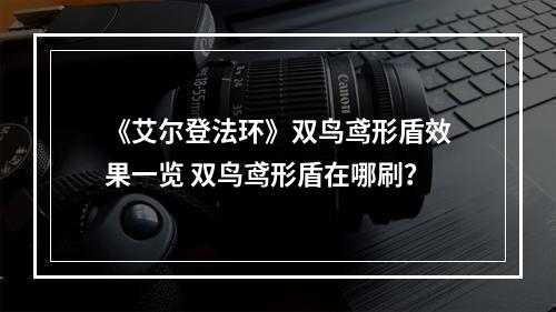 《艾尔登法环》双鸟鸢形盾效果一览 双鸟鸢形盾在哪刷？