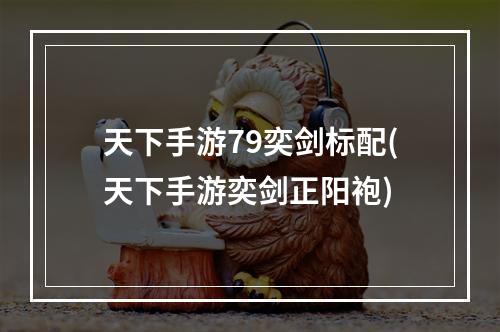 天下手游79奕剑标配(天下手游奕剑正阳袍)