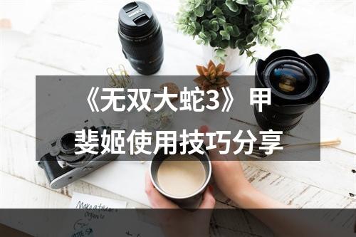 《无双大蛇3》甲斐姬使用技巧分享