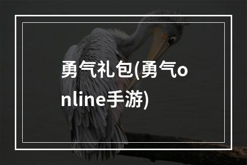 勇气礼包(勇气online手游)