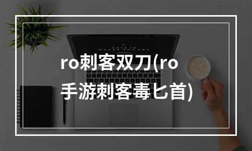 ro刺客双刀(ro手游刺客毒匕首)