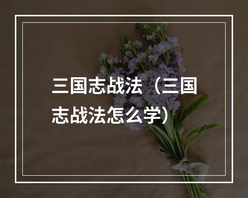 三国志战法（三国志战法怎么学）