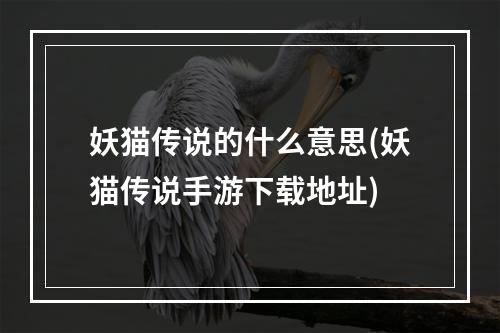 妖猫传说的什么意思(妖猫传说手游下载地址)