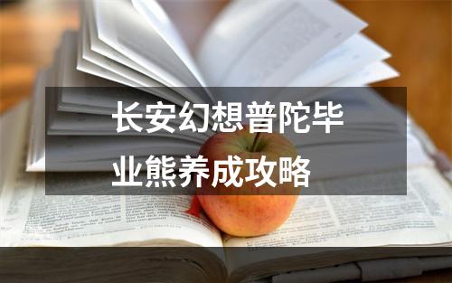 长安幻想普陀毕业熊养成攻略