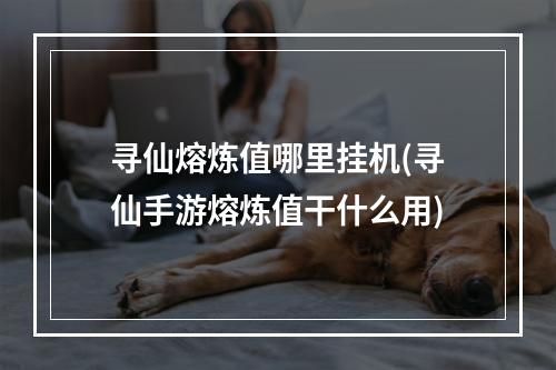 寻仙熔炼值哪里挂机(寻仙手游熔炼值干什么用)