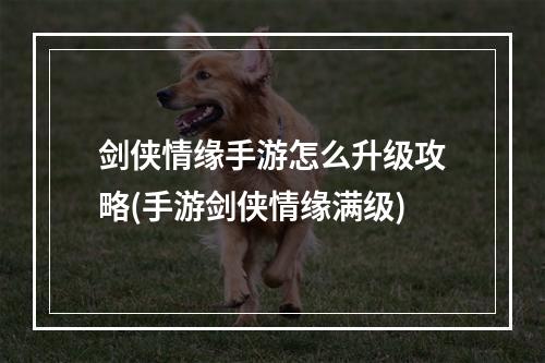 剑侠情缘手游怎么升级攻略(手游剑侠情缘满级)