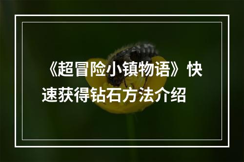 《超冒险小镇物语》快速获得钻石方法介绍