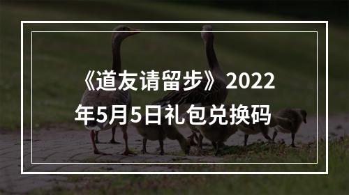 《道友请留步》2022年5月5日礼包兑换码