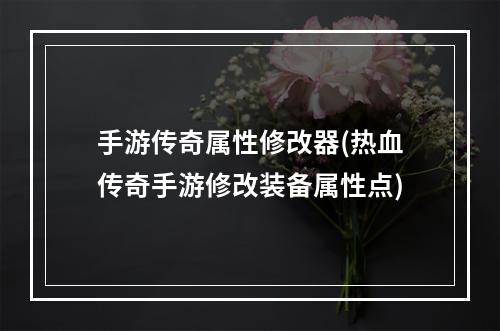 手游传奇属性修改器(热血传奇手游修改装备属性点)