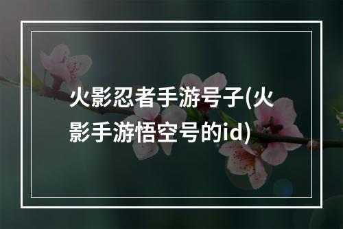 火影忍者手游号子(火影手游悟空号的id)