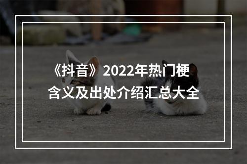 《抖音》2022年热门梗含义及出处介绍汇总大全