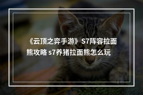 《云顶之弈手游》S7阵容拉面熊攻略 s7养猪拉面熊怎么玩