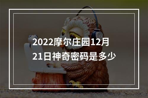 2022摩尔庄园12月21日神奇密码是多少