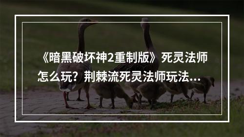 《暗黑破坏神2重制版》死灵法师怎么玩？荆棘流死灵法师玩法介绍