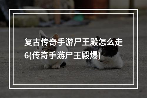 复古传奇手游尸王殿怎么走6(传奇手游尸王殿爆)