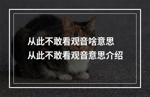 从此不敢看观音啥意思 从此不敢看观音意思介绍