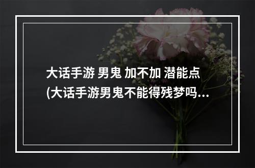 大话手游 男鬼 加不加 潜能点(大话手游男鬼不能得残梦吗)