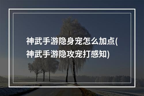 神武手游隐身宠怎么加点(神武手游隐攻宠打感知)