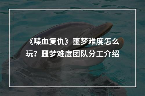 《喋血复仇》噩梦难度怎么玩？噩梦难度团队分工介绍