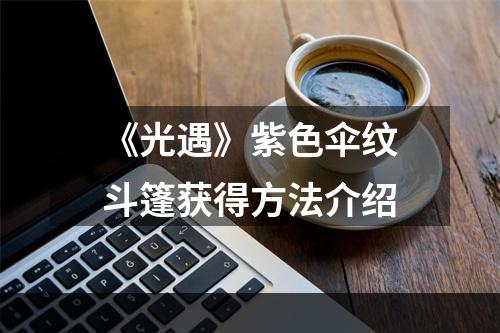 《光遇》紫色伞纹斗篷获得方法介绍