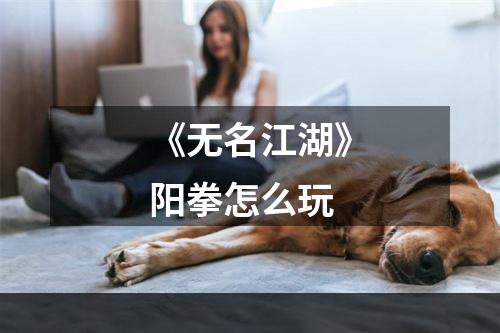 《无名江湖》阳拳怎么玩